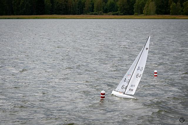 40 DSC1979