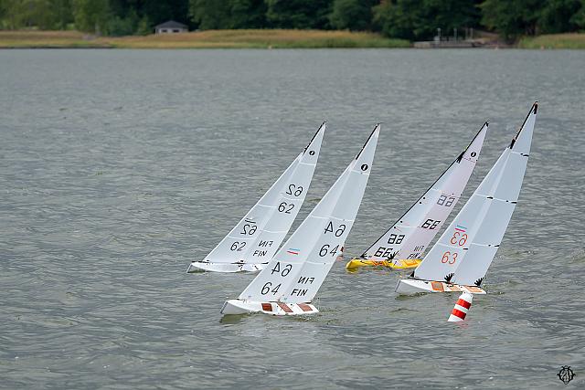 41 DSC2007