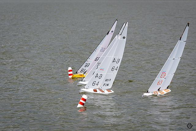 50 DSC2245