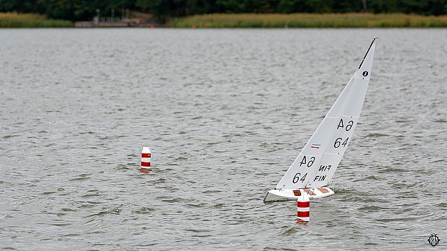 8 DSC1555
