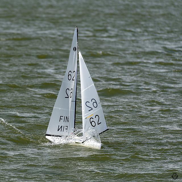 11 DSC0519