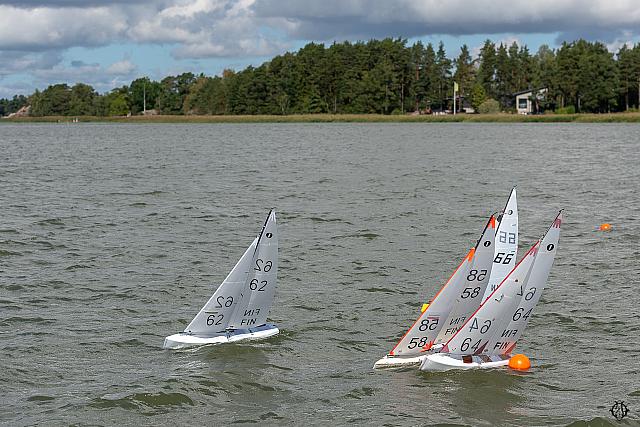 8 DSC0505