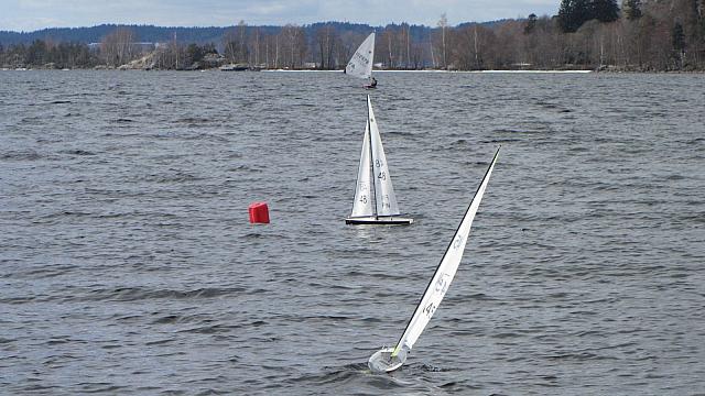 IMG 1854