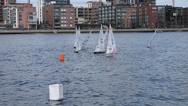 IMG 1919