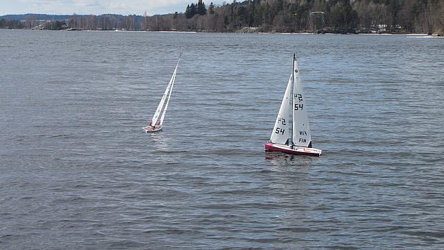 IMG 1934
