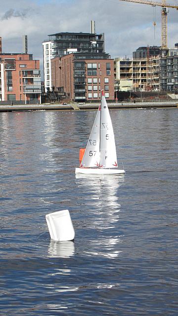 IMG 1945