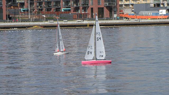 IMG 1947