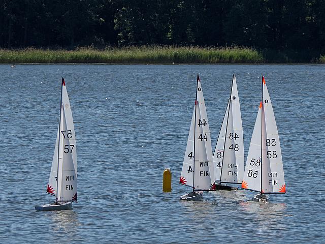 15-P8164446