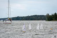 49 DSC2197