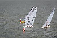50 DSC2245