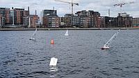 IMG 1913